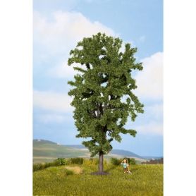 Horse chestnut tree  - Noch 25895