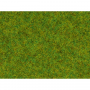 Gräs, Sommaräng, 2,5 mm  - Noch 08150