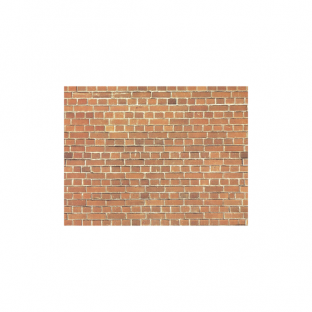 Wall sheet, Cardboard  - Noch 57550