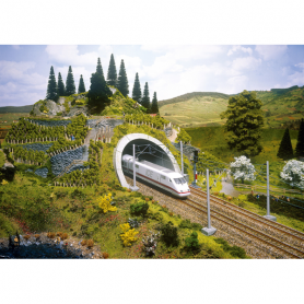 ICE Tunnelportal  - Noch 58040