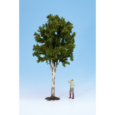 Birch Scale 1:22,5 -Noch 68010