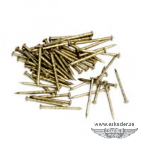 Nails with rounded head (brass)