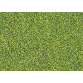 Blended turf Green Blend