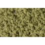 Underbrush Olive Green