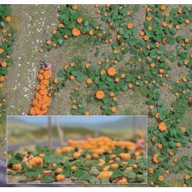 Pumpkin Field - Busch 1201