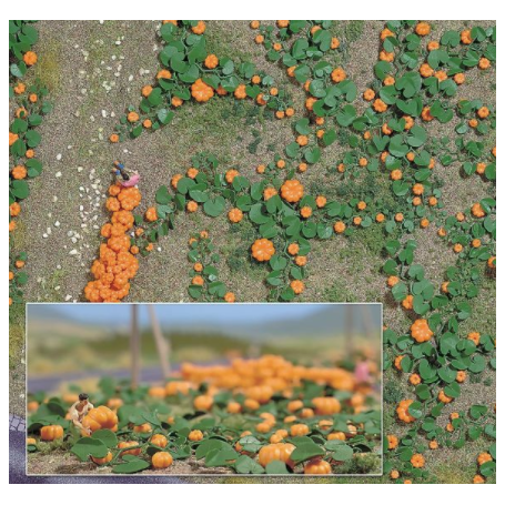 Pumpkin Field - Busch 1201