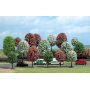 Blooming trees - Busch 6484