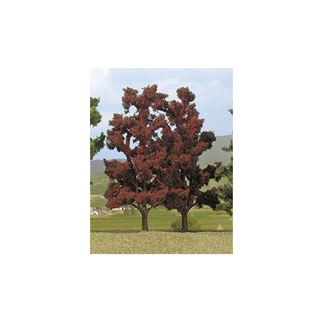 Red Beeches - Busch 6958