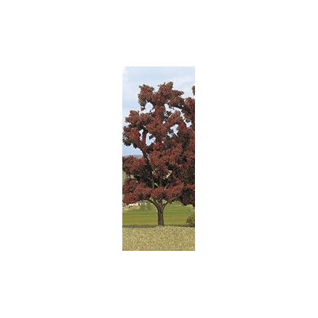 Red Beech - Busch 6968