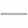 Straight track 1200 mm