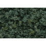 UNDERBRUSH CF Medium Green