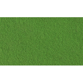 Fine Turf Green Grass