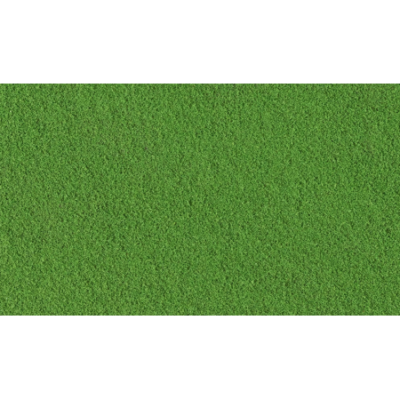Fine Turf Green Grass