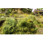 PROFI Bushes, light green- Noch 07310