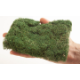 PROFI Bushes, light green- Noch 07310