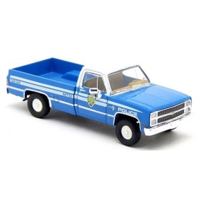 Chevrolet C 20, Polis NYPD, 1981