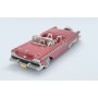 Ford Galaxie Skyliner, Western Models 1:43