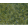 Gräsmaterial, mellangrön -Noch 07250