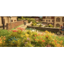 Blommor (250st) -Noch 06800