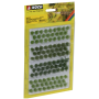 Grass tufts Field plants -Noch 07133