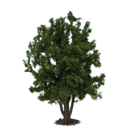 Deciduos tree G-Scale -Noch 68015