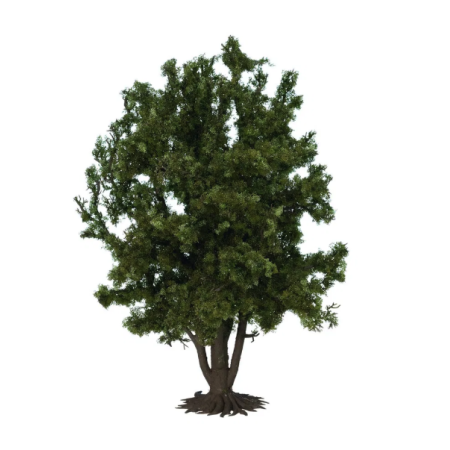 Deciduos tree G-Scale  - Noch 68015