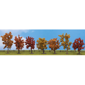 Autumn trees  - Noch 25070