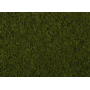 Foliage Light green  - Noch 07270