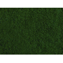 Foliage Dark green  - Noch 07271