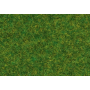 Scatter grass, Ornamental lawn, 2,5 mm -Noch 08314