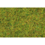 Scatter grass, Summer meadow, 2,5 mm 100g  - Noch 50190