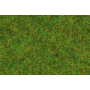 Scatter grass, Spring meadow, 2,5 mm, 100g -Noch 50210