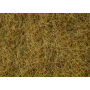 Wild grass, Beige, 6 mm -Noch 07101