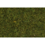 Wild grass, Meadow, 9 mm  - Noch 07117