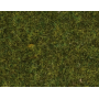 Scatter grass, Meadow, 4 mm  - Noch 08361