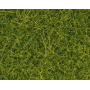 Scatter grass, Light green, 4 mm  - Noch 08363