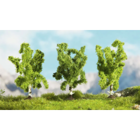 Birch trees  - Noch 25520 (1:220)
