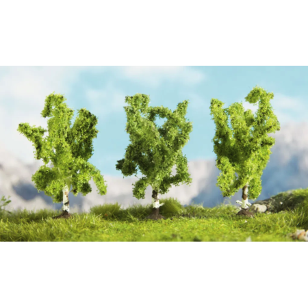 Birch trees  - Noch 25520 (1:220)