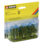 Birch trees  - Noch 25520 (1:220)
