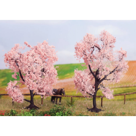 Almond trees  - Noch 21996
