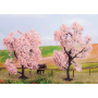 Almond trees  - Noch 21996