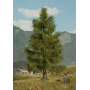 Spruce tree  - Noch 21816