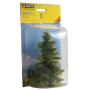 Spruce tree  - Noch 21816