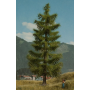 Spruce tree 18,5 cm  - Noch 21817