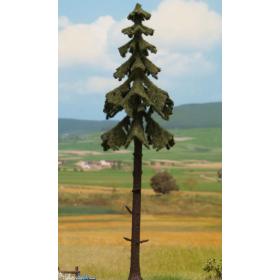 Spruce tree, high trunk 18,5 cm  - Noch 21927