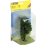 Chestnut tree  - Noch 21802