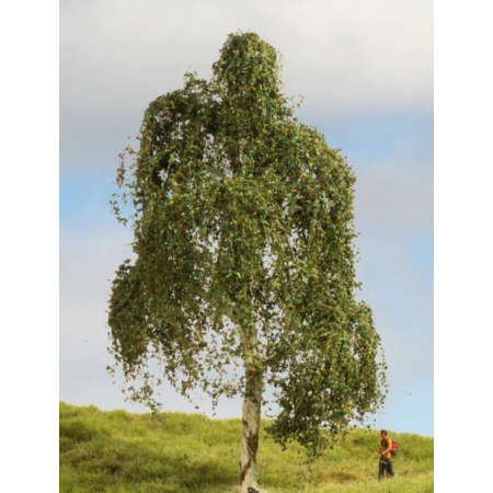 Silver Birch tree  - Noch 20120