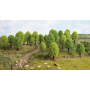 Deciduous trees 25 pcs  - Noch 32801