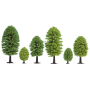 Deciduous trees 25 pcs  - Noch 32801