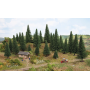 Spruce trees 10 pcs  - Noch 26920